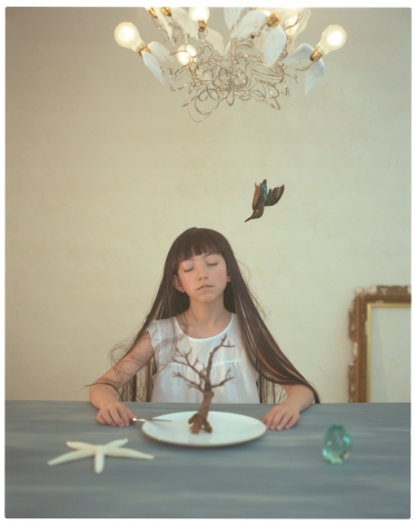 Breezeless, Haruhi Fujii, Les rêves d’un oiseau solitaire, 2009, Sous Les Etoiles Gallery