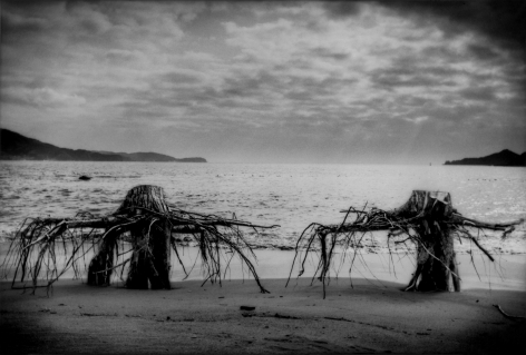James Whitlow Delano, Black Tsunami, The sea undercuts roots beneath the sumps of trees on the beach, Rikuzen-Takata, Iwate Prefecture, 2011, Sous Les Etoiles Gallery