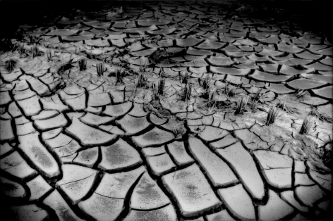James Whitlow Delano, Black Tsunami, Rice field salinated by sea water from the tsunami. Inside nuclear no-entry zone, Fukushima, Japan, 2011, Sous Les Etoiles Gallery